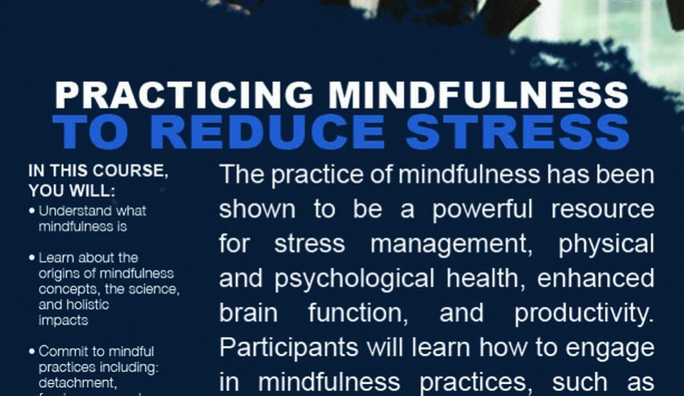 crisis management stress coaching